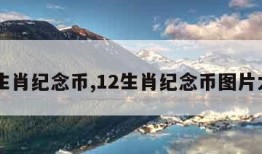 12生肖纪念币,12生肖纪念币图片大全