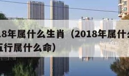 2018年属什么生肖（2018年属什么生肖五行属什么命）