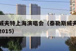 泰勒斯威夫特上海演唱会（泰勒斯威夫特上海演唱会2015）