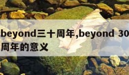 beyond三十周年,beyond 30周年的意义