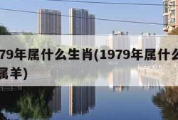 1979年属什么生肖(1979年属什么生肖属羊)