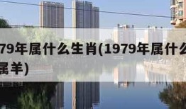 1979年属什么生肖(1979年属什么生肖属羊)