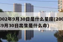 2002年9月30日是什么星座(2002年9月30日出生是什么命)