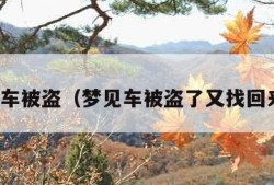 梦见车被盗（梦见车被盗了又找回来了）