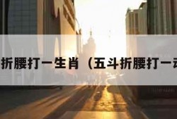 五斗折腰打一生肖（五斗折腰打一动物）