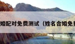 姓名合婚配对免费测试（姓名合婚免费算命）