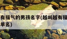 越叫越有福气的男孩名字(越叫越有福气的男孩名字单名)