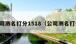 公司测名打分1518（公司测名打分）