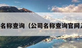 公司名称查询（公司名称查询官网入口）