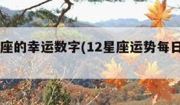 12星座的幸运数字(12星座运势每日查询)