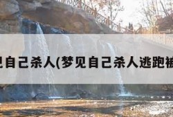 梦见自己杀人(梦见自己杀人逃跑被抓)
