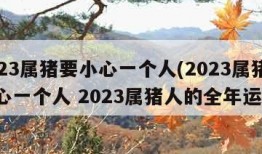 2023属猪要小心一个人(2023属猪要小心一个人 2023属猪人的全年运势)