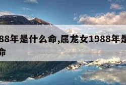 1988年是什么命,属龙女1988年是什么命