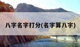 八字名字打分(名字算八字)