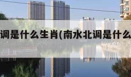南水北调是什么生肖(南水北调是什么生肖动物)