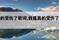 我是真的受伤了歌词,我是真的受伤了歌词大意
