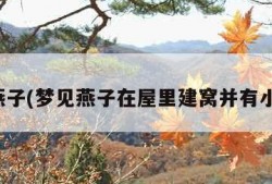 梦见燕子(梦见燕子在屋里建窝并有小燕子)