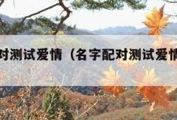 名字配对测试爱情（名字配对测试爱情指数免费）