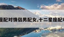 12星座配对情侣男配女,十二星座配对情侣