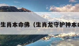十二生肖本命佛（生肖龙守护神本命佛）