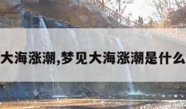 梦见大海涨潮,梦见大海涨潮是什么意思