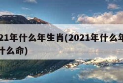 2021年什么年生肖(2021年什么年生肖什么命)