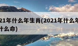 2021年什么年生肖(2021年什么年生肖什么命)