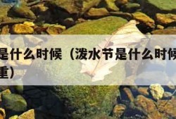 泼水节是什么时候（泼水节是什么时候哪个地方最隆重）