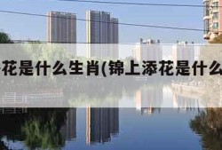 锦上添花是什么生肖(锦上添花是什么生肖月动物)