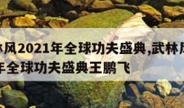 武林风2021年全球功夫盛典,武林风2021年全球功夫盛典王鹏飞
