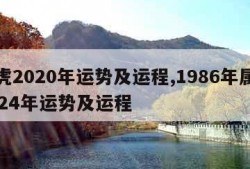 属虎2020年运势及运程,1986年属虎2024年运势及运程