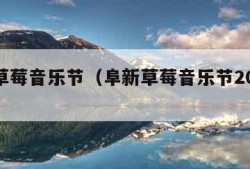 阜新草莓音乐节（阜新草莓音乐节2021阵容）
