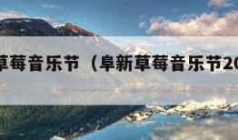 阜新草莓音乐节（阜新草莓音乐节2021阵容）