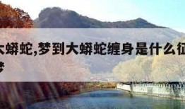 梦到大蟒蛇,梦到大蟒蛇缠身是什么征兆 女性解梦