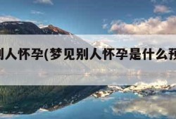 梦见别人怀孕(梦见别人怀孕是什么预兆 女性)