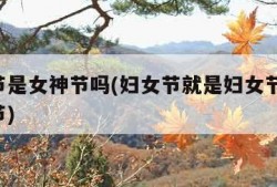 妇女节是女神节吗(妇女节就是妇女节,不是女神节)