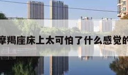 包含摩羯座床上太可怕了什么感觉的词条
