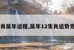 12生肖鼠年运程,鼠年12生肖运势完整版