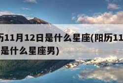 阳历11月12日是什么星座(阳历11月12日是什么星座男)