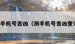 测手机号吉凶（测手机号吉凶查询）