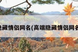 高端隐藏情侣网名(高端隐藏情侣网名王者)
