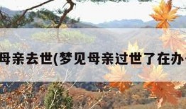 梦见母亲去世(梦见母亲过世了在办丧事)