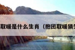 抱团取暖是什么生肖（抱团取暖猜生肖）