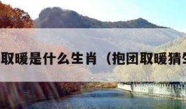 抱团取暖是什么生肖（抱团取暖猜生肖）