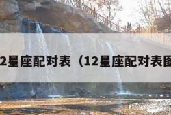 12星座配对表（12星座配对表图）