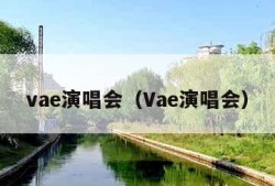 vae演唱会（Vae演唱会）