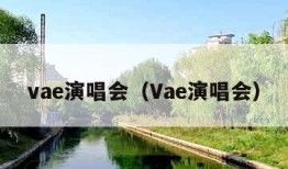 vae演唱会（Vae演唱会）