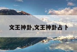 文王神卦,文王神卦占卜