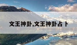 文王神卦,文王神卦占卜