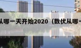 数伏从哪一天开始2020（数伏从哪一天开始）